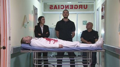 lvn54_134.jpg